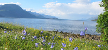 Pohled na Lyngenfjord